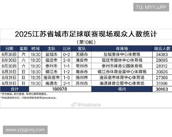 2025中超联赛第24轮现场观众人数统计与分析报告 2025中超联赛第24轮现场观众人数统计与分析报告